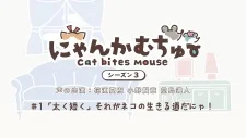 Nyankamuchu Season 3