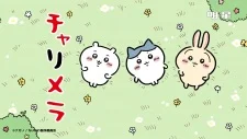 Charumera x Chiikawa